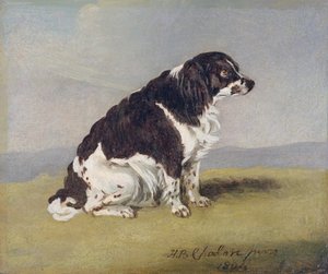 Hertuginnen av Yorks spaniel, 1804 (olje på kvernbrett)